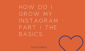 How Do I Grow My Instagram – Part 1 The Basics